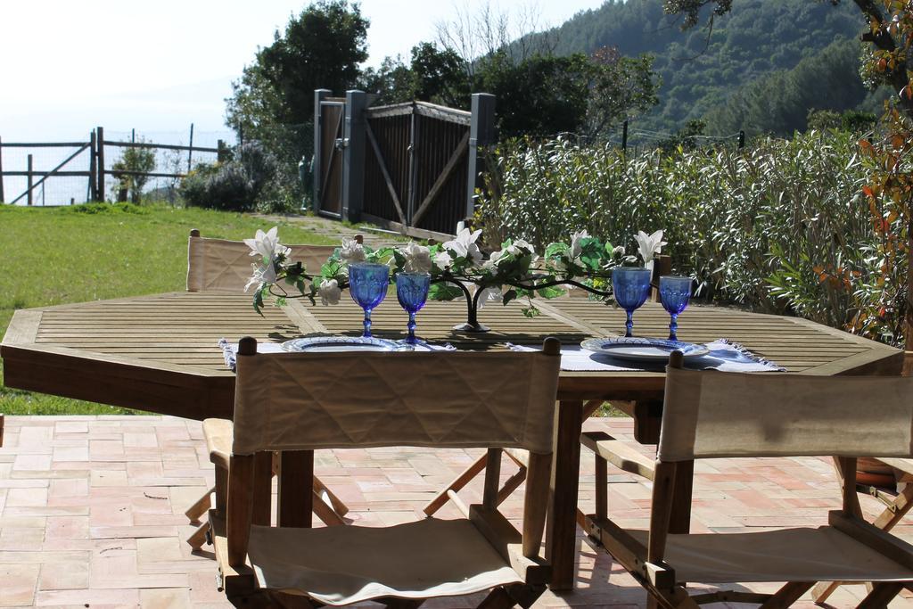 La Casa Nella Macchia *